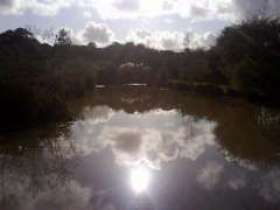 Adamsfield Lakes