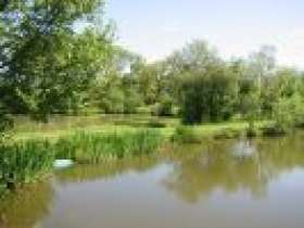 Nine Oaks Angling Centre