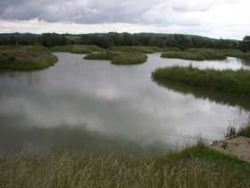 The Islands Carp Fishery